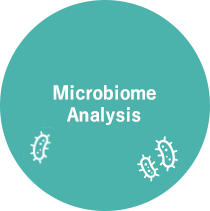 Microbiome Analysis