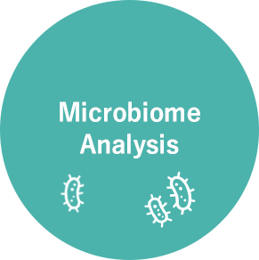 Microbiome Analysis