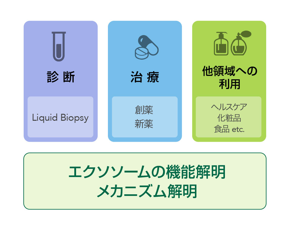 現在報告されているエクソソーム研究の領域